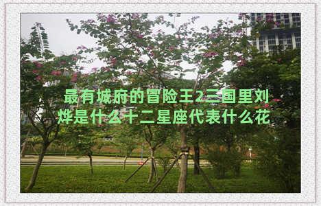最有城府的冒险王2三国里刘烨是什么十二星座代表什么花