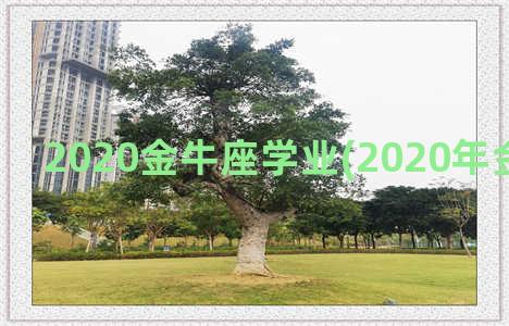 2020金牛座学业(2020年金牛座正缘)