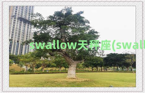 swallow天秤座(swallow记忆)