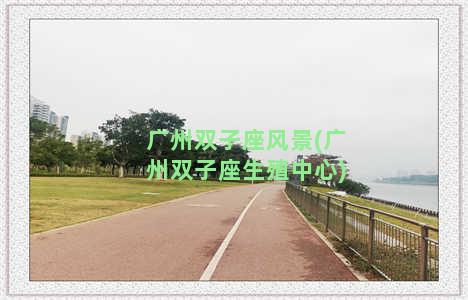 广州双子座风景(广州双子座生殖中心)